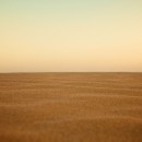 DESERT 15